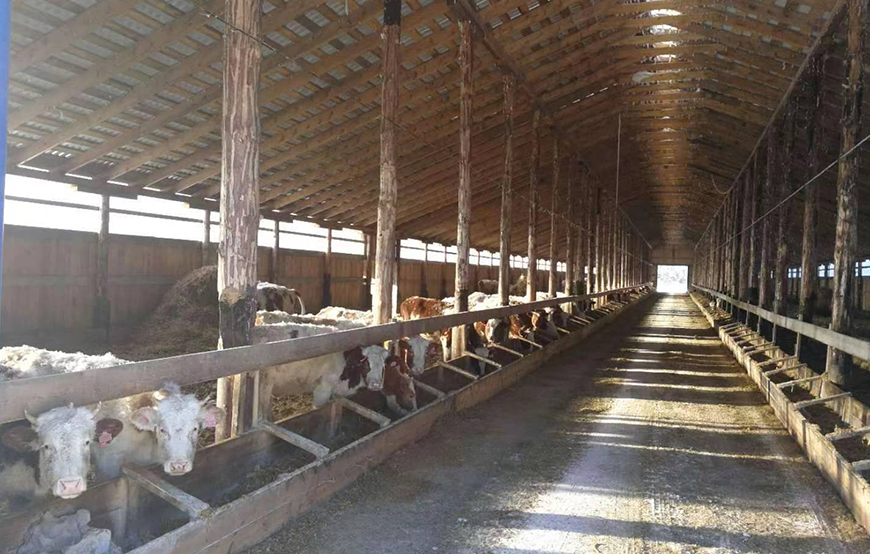 俄羅斯北方食品有限公司4