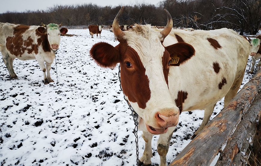 俄羅斯北方食品有限公司2